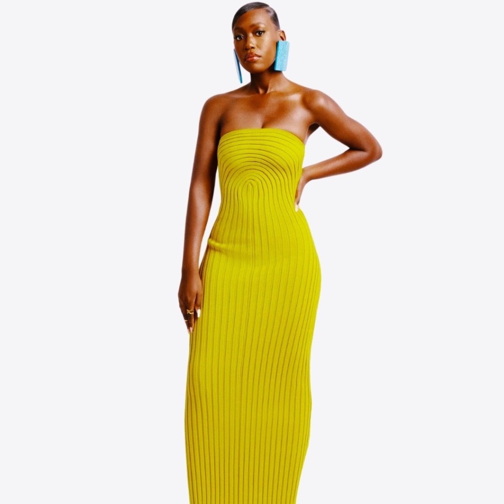 SOLD!! NWT! Hanifa Roxi Knit Tube Maxi Dress